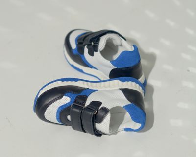 Кросівки чорно-білі, сині вставки Happy Walk, 21, 13